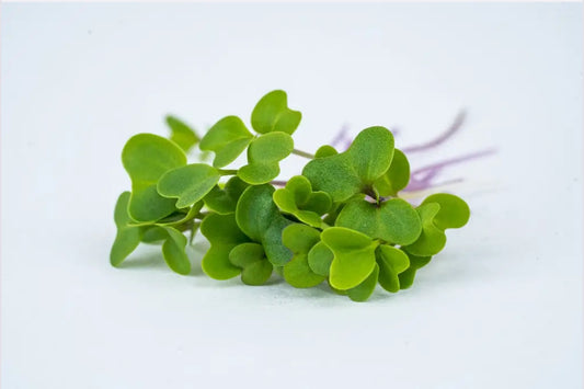 kale